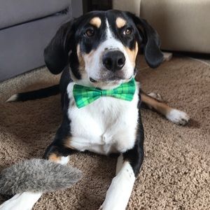 Meet your Posher, Robert